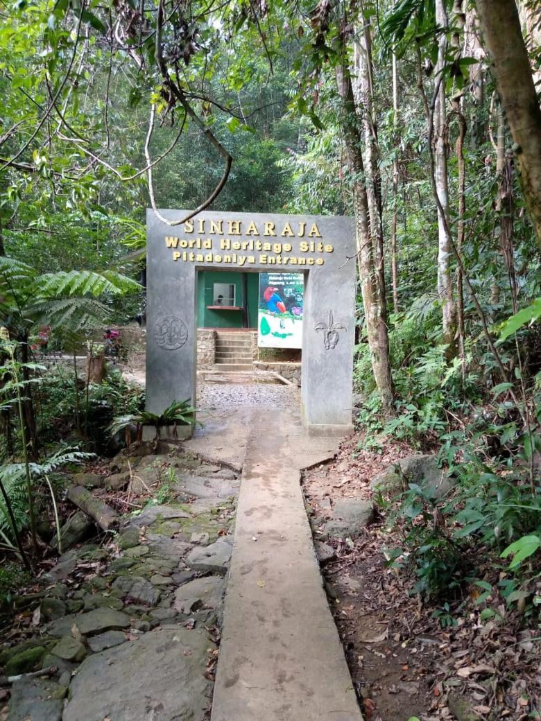 Sunshine Forest Lodge - Sinharaja Deniyaya Luaran gambar