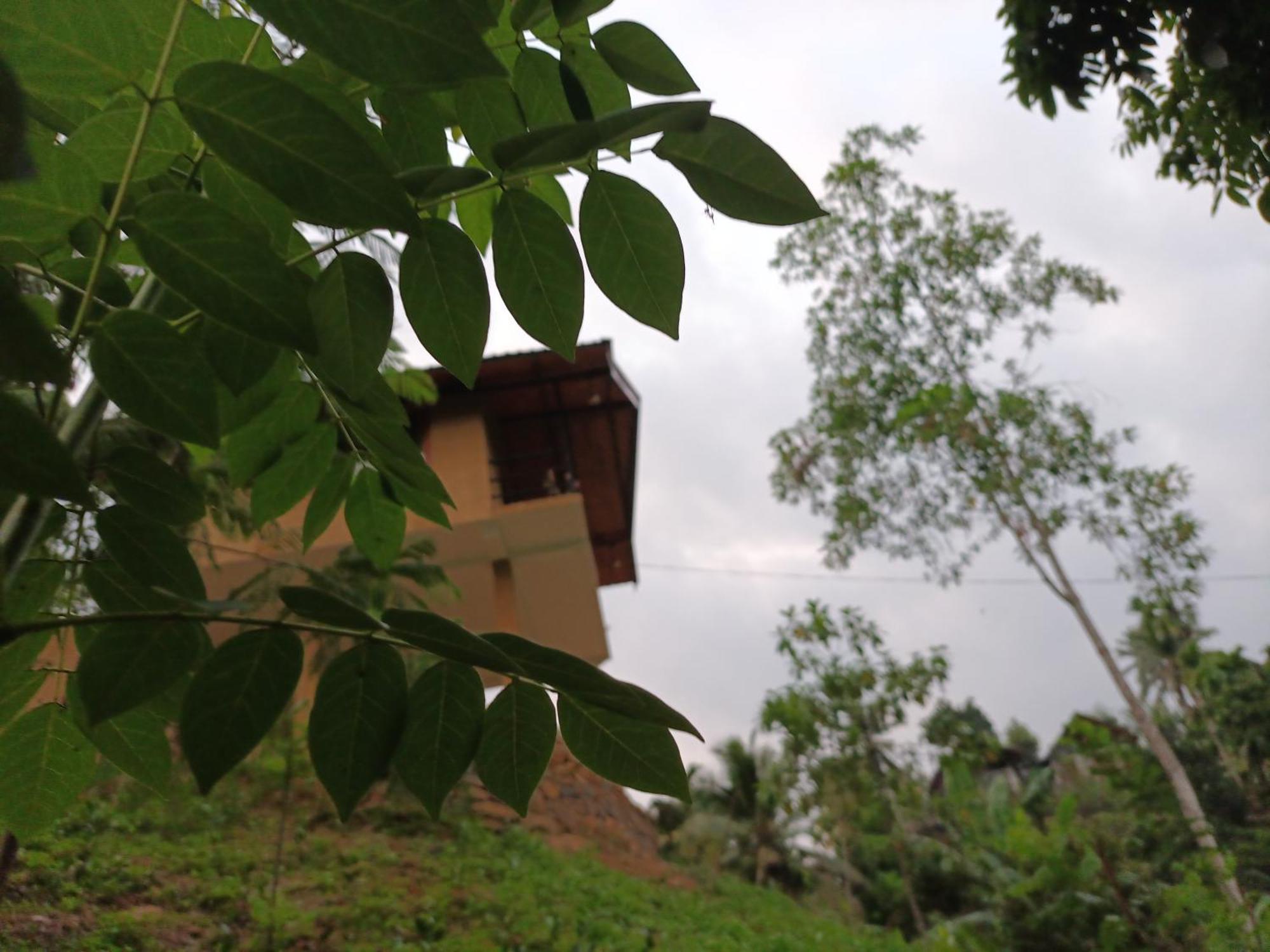 Sunshine Forest Lodge - Sinharaja Deniyaya Luaran gambar