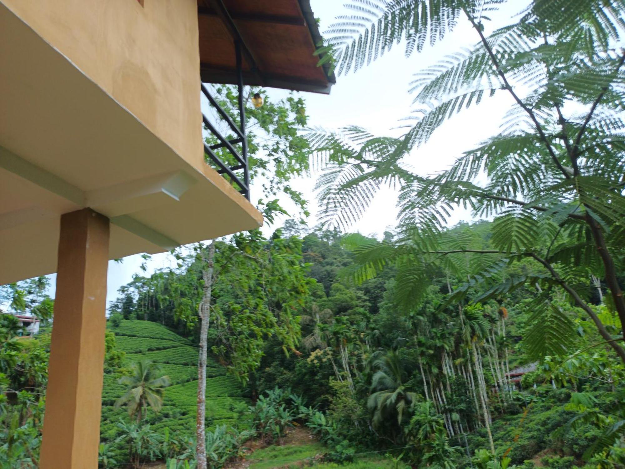 Sunshine Forest Lodge - Sinharaja Deniyaya Luaran gambar