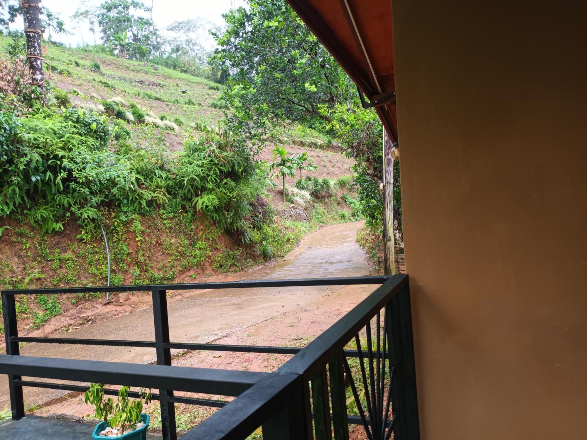 Sunshine Forest Lodge - Sinharaja Deniyaya Luaran gambar