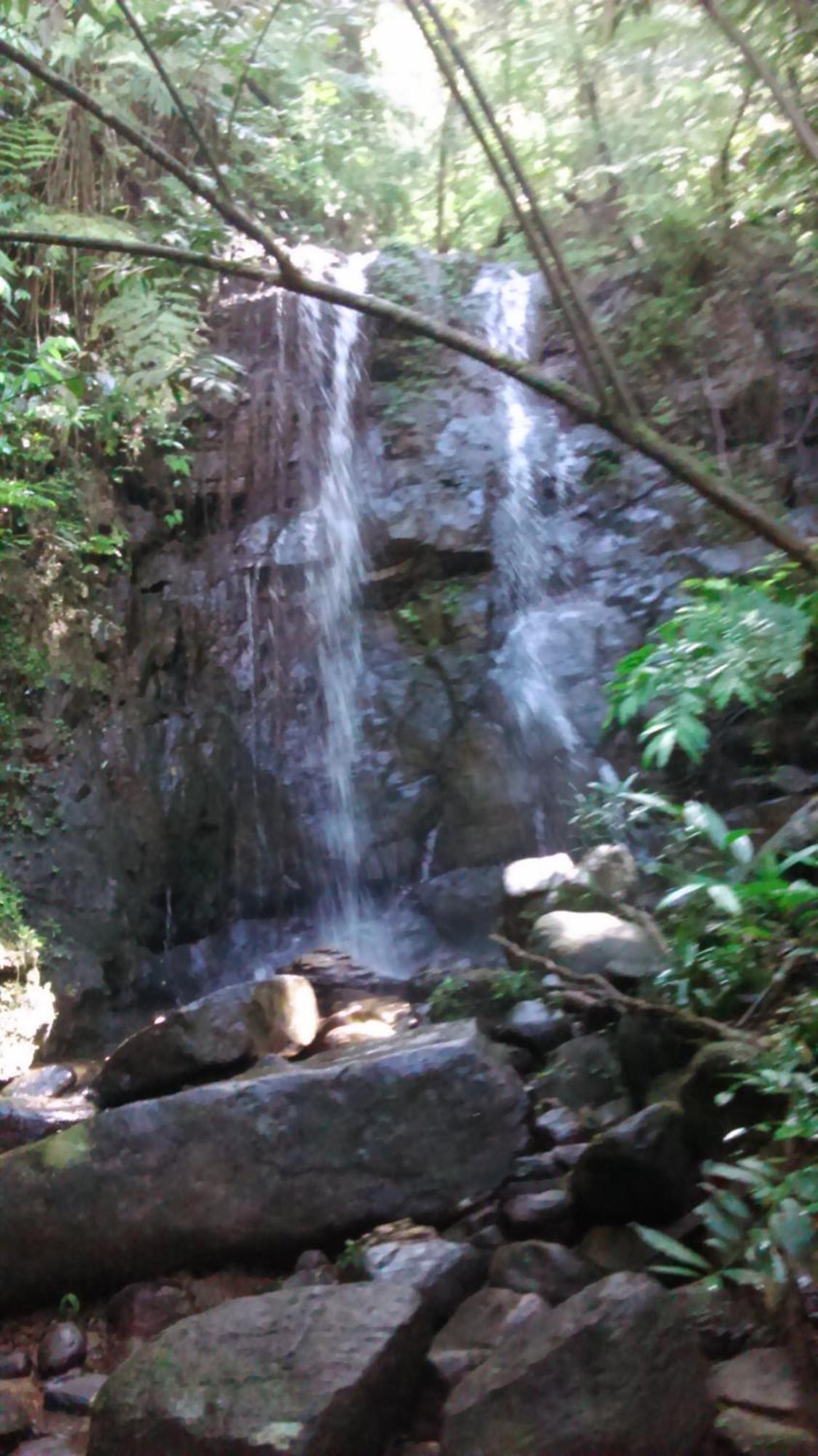 Sunshine Forest Lodge - Sinharaja Deniyaya Luaran gambar