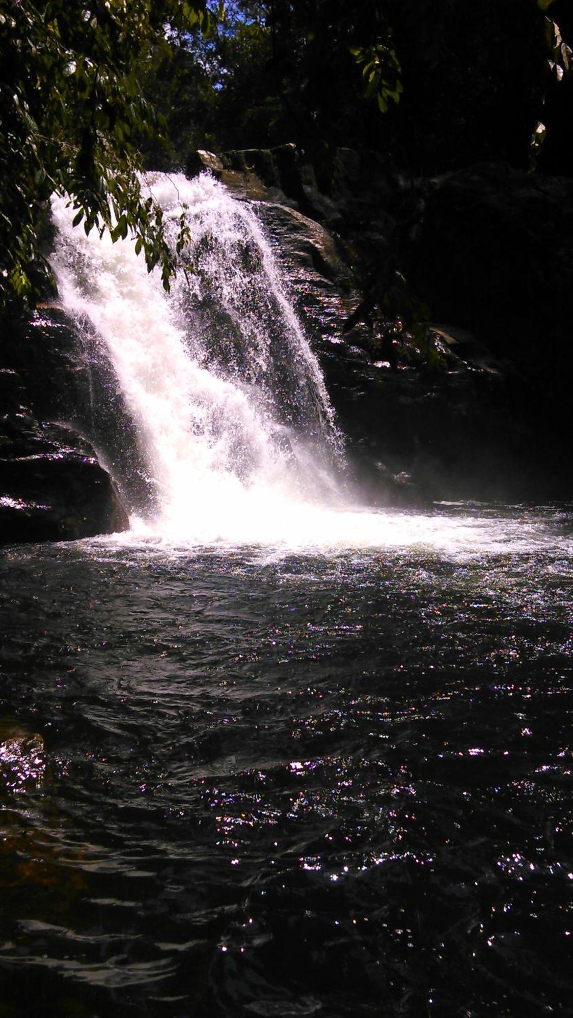 Sunshine Forest Lodge - Sinharaja Deniyaya Luaran gambar