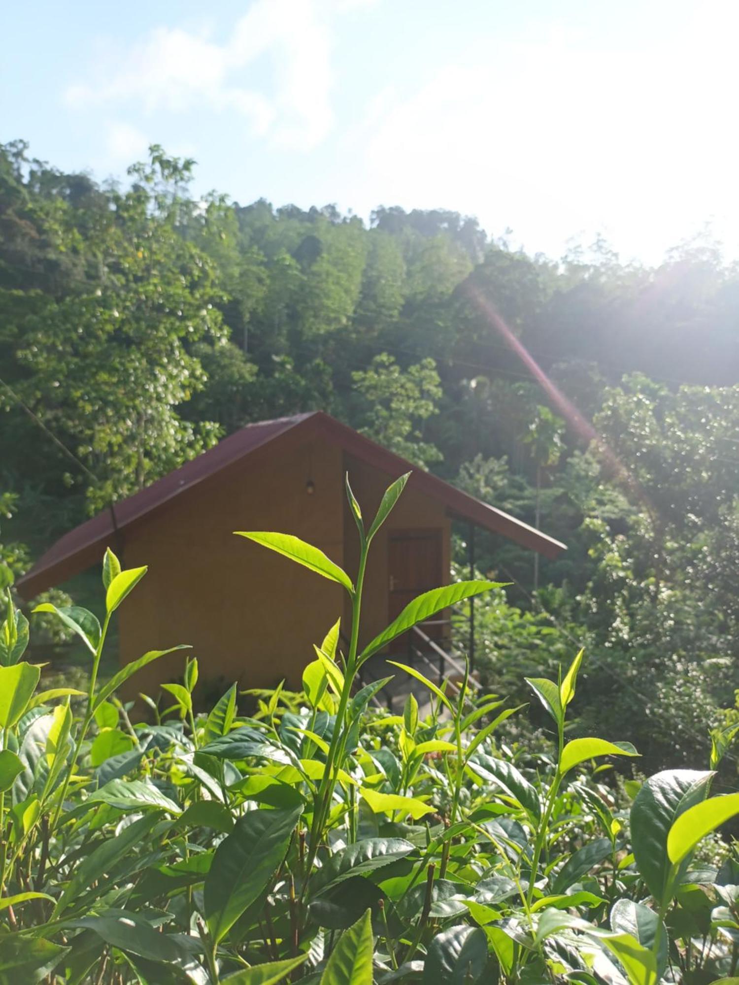 Sunshine Forest Lodge - Sinharaja Deniyaya Luaran gambar